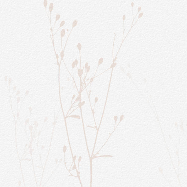 istock Delicate watercolor botanical digital paper floral background in soft basic nude beige tones. Neutral elegant pattern on white organic paper texture 1425312827