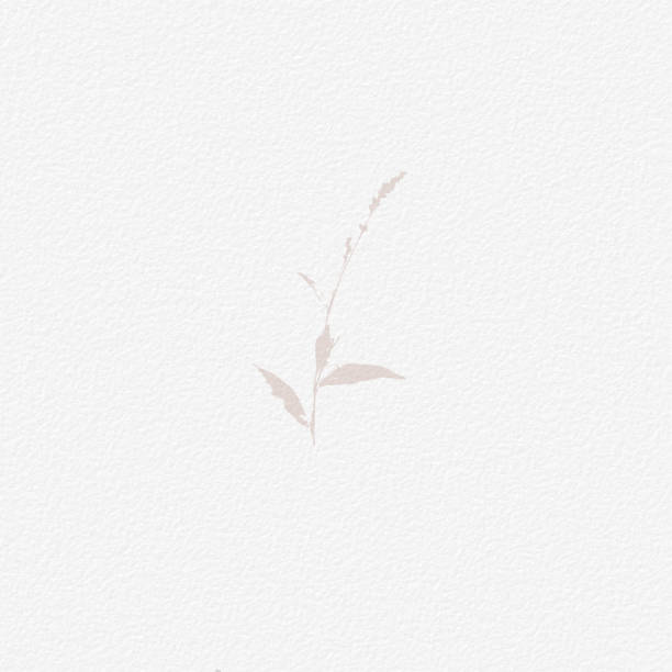 istock Delicate watercolor botanical digital paper floral background in soft basic nude beige tones. Neutral elegant pattern on white organic paper texture 1425312840