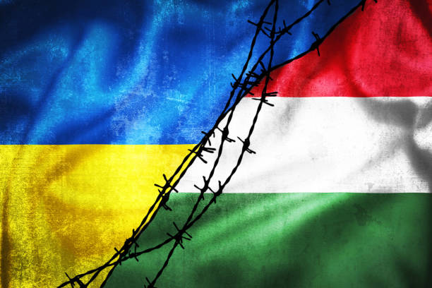 Grunge flags of Ukraine and Hungary divided by barb wire illustration Grunge flags of Ukraine and Hungary divided by barb wire illustration, concept of tense relations between two countries hungary stock pictures, royalty-free photos & images