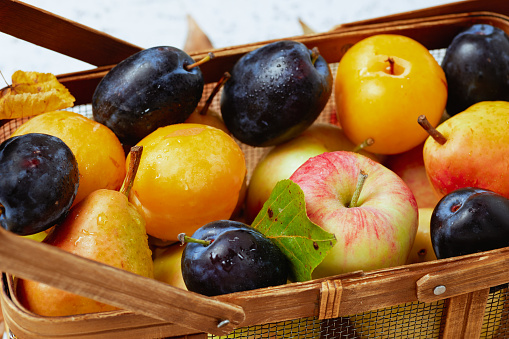 autumn background with apples, pears, plums and basket.