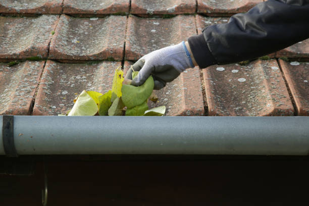 istock Cleaning the gutter from autumn leaves before winter season. Roof gutter cleaning process. 1425316213