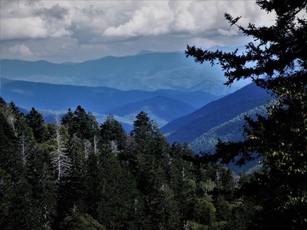 istock The Great Smoky Mountains 1425317162