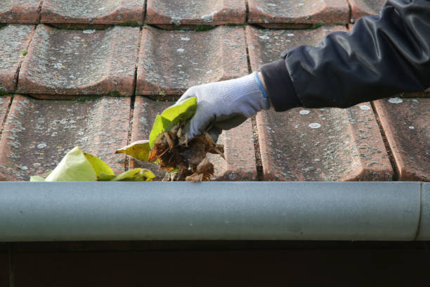 istock Cleaning the gutter from autumn leaves before winter season. Roof gutter cleaning process. 1425318357