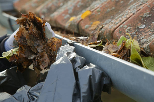 istock Cleaning the gutter from autumn leaves before winter season. Roof gutter cleaning process. 1425319149
