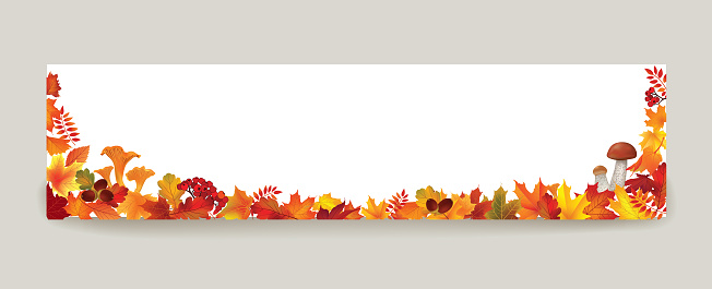 Autumn leaves background. Season floral horizontal wallpaper. Fall leaf nature banner sale design
