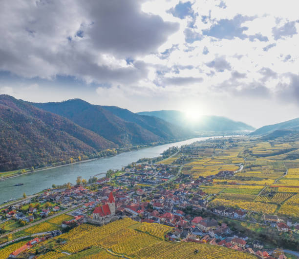 village de weissenkirchen avec des vignobles d’automne contre le danube dans la vallée de wachau, autriche, unesco - danube valley danube river vineyard austria photos et images de collection