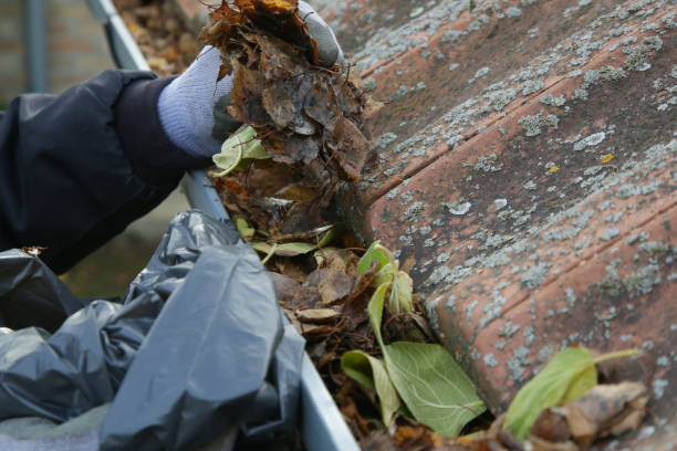 istock Cleaning the gutter from autumn leaves before winter season. Roof gutter cleaning process. 1425320384