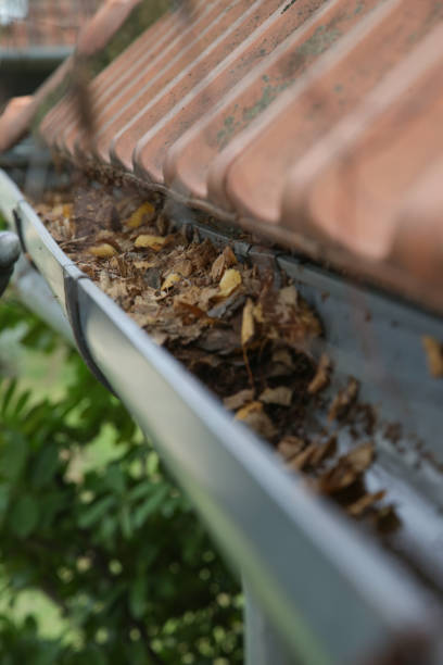 istock Gutter full of old autumn leaves and dirt. 1425320941