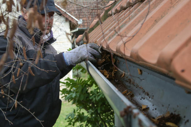 Man cleaning the gutter from autumn leaves before winter season. Roof gutter cleaning process. stock photo