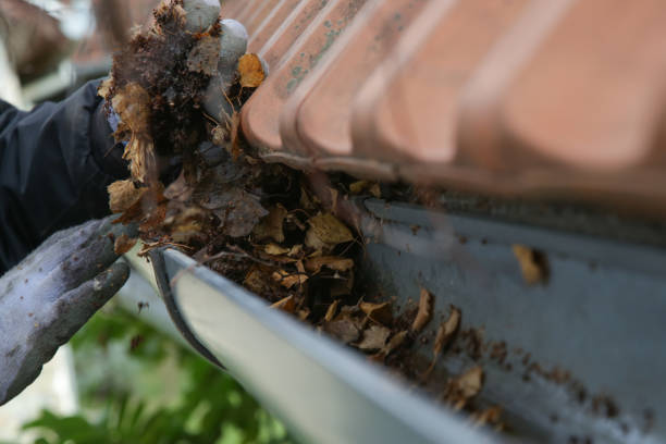 istock Cleaning the gutter from autumn leaves before winter season. Roof gutter cleaning process. 1425321184