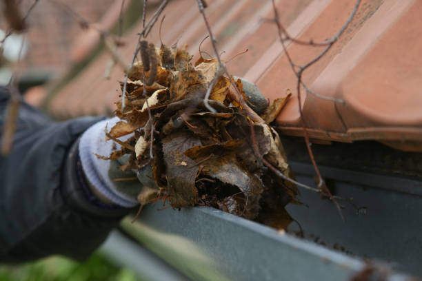 istock Cleaning the gutter from autumn leaves before winter season. Roof gutter cleaning process. 1425322507