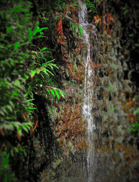 havaí - waterfall hawaii islands maui oahu - fotografias e filmes do acervo