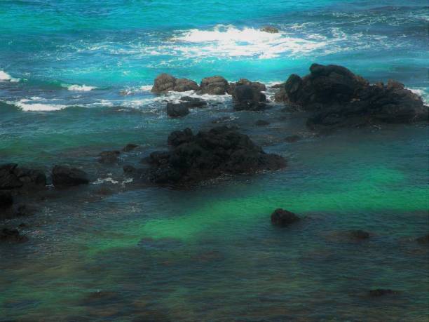 havaí - waterfall hawaii islands maui oahu - fotografias e filmes do acervo