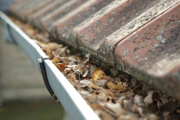 istock Gutter full of old autumn leaves and dirt. 1425322729
