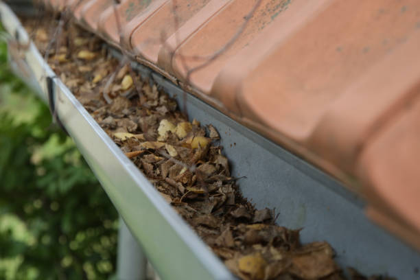 istock Gutter full of old autumn leaves and dirt. 1425323055
