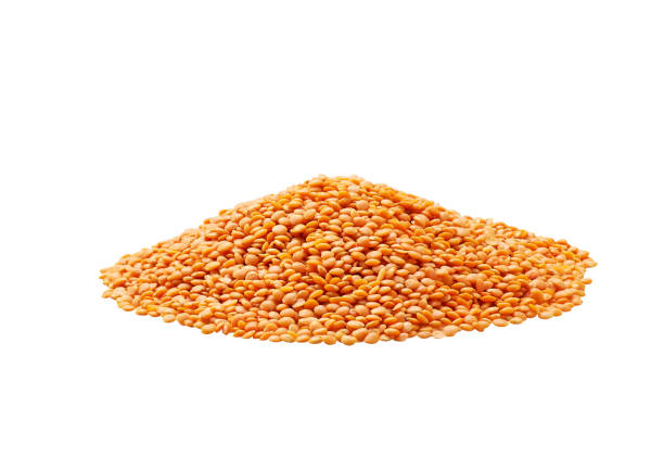 istock Pile of red lentils isolated on white background. 1425328354