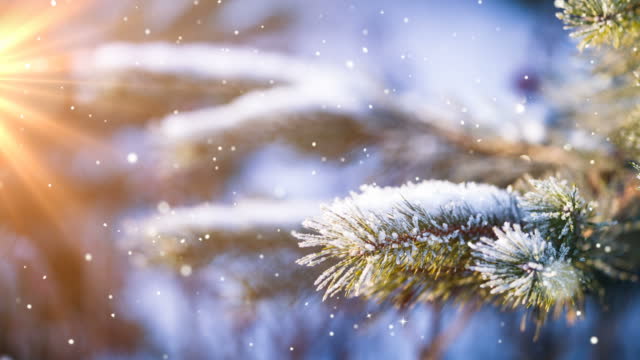 222,000+ Winter Background Stock Videos and Royalty-Free Footage - iStock