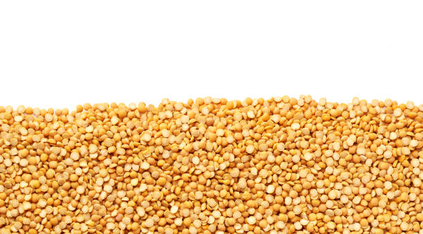 istock close-up texture of raw dried peas with copy space for text. 1425330159