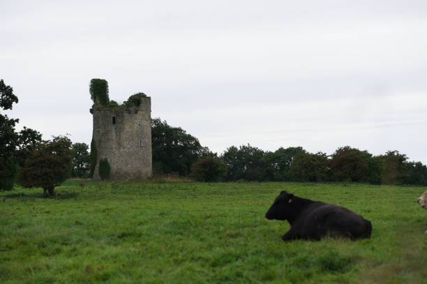 istock Part of an abandoned castle in Ireland 1425330866