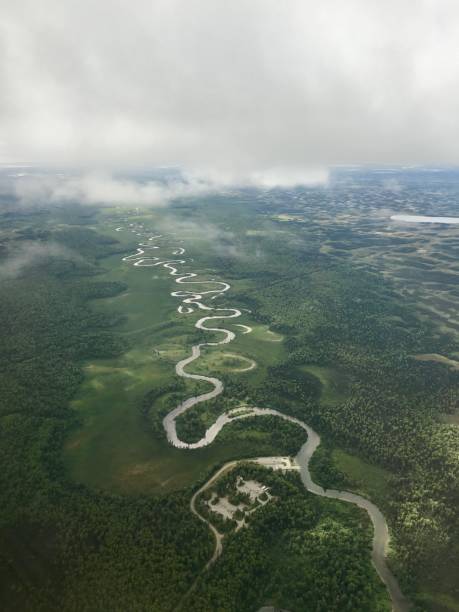 istock An aerial view of a winding river 1425332905