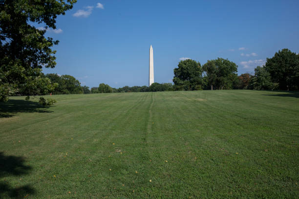 istock Washington momument in Washington DC 1425333603