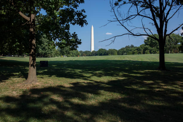 istock Washington momument in Washington DC 1425333604