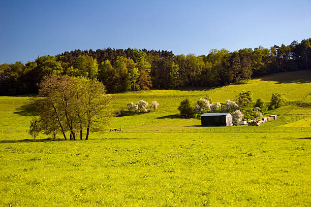 istock summer landscape with wooden barrack 142533568