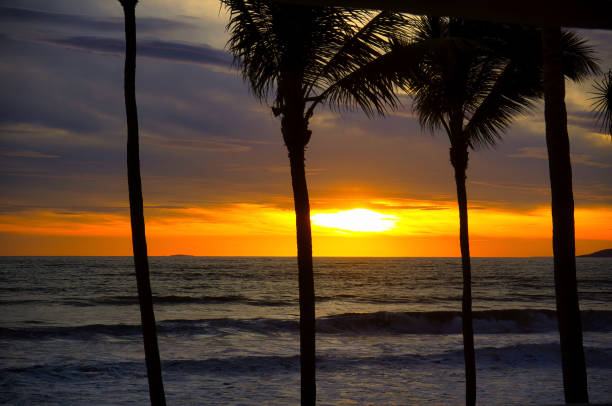istock Sunset on the beach with palm trees 1425345294