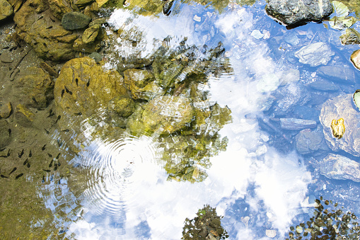 The reflection of autumn leaf color on the surface of pond with wave.\nThis photo was taken at Otaguro Park in Tokyo. The site of Otaguro Park was originally the residence of Mr Motoo Otaguro, a music critic, but it has since been converted to a public park (free of charge) under the management of Suginami ward office of Tokyo Metropolitan government.