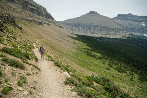 istock Woman Hikes Up Trail to Piegan Pass 1425349370