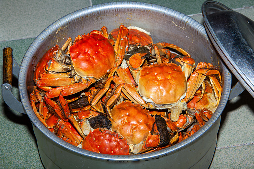 hairy crabs
