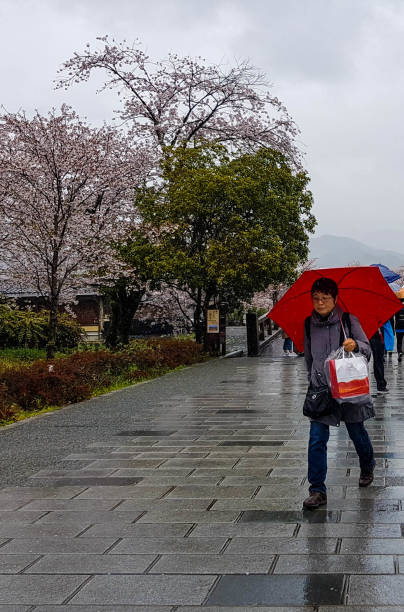 киото, япония, 8 апреля 2019 года. люди ходят, используя зонтики, потому что идет дождь. - street stall стоковые фото и изображения