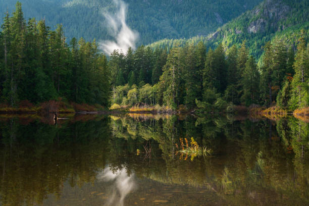 istock Lake Reflections near Tofino BC 1425364879