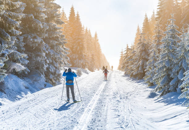 istock Cross-country skiing in winter nature 1425367572