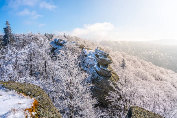 istock Lookout from Palicnik in winter 1425367626