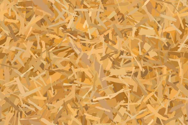 Seamless texture of OSB boards from wood chips Seamless texture of OSB boards from wood chips. Wooden building panels. Plywood vector pattern . Oriented particle background. Sheet of fibreboard with fragments of compressed sawdust. mdf stock illustrations