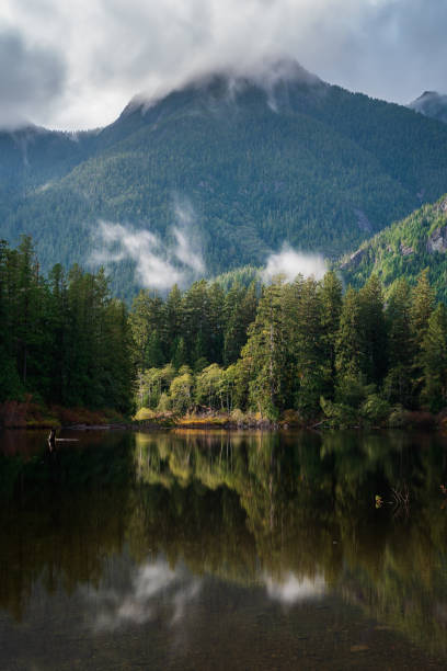 istock Lake Reflections near Tofino BC 1425368744