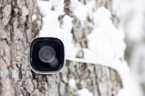 Black cctv fixed on a tree, home security system