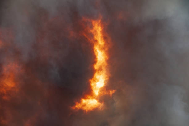 istock Burning sky effect during Forest fire which smoke is covering the sky 1425375058