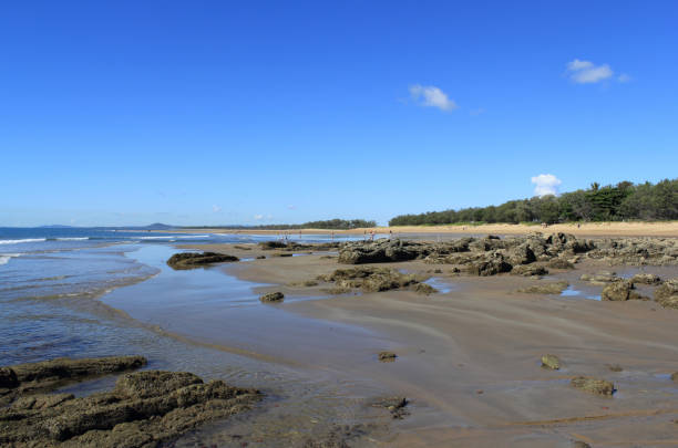 istock Seascape view with the ocean, rocks, sand and trees 1425377611