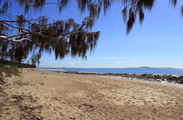 istock Beach view with sand, the ocean and framed by a tree 1425378022