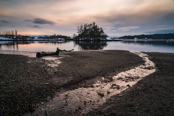 istock Portage Inlet Park View Royal Victoria BC 1425379417