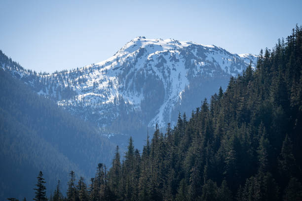 istock Snowcapped Mountain Vancouver Island 1425379559