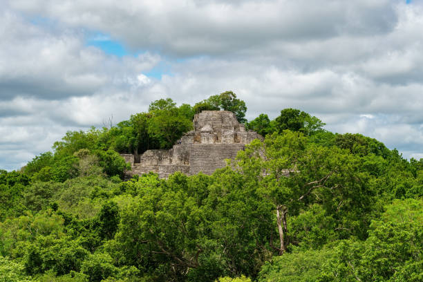 istock Calakmul ancient Mayan temple ruins rising above the trees 1425387561