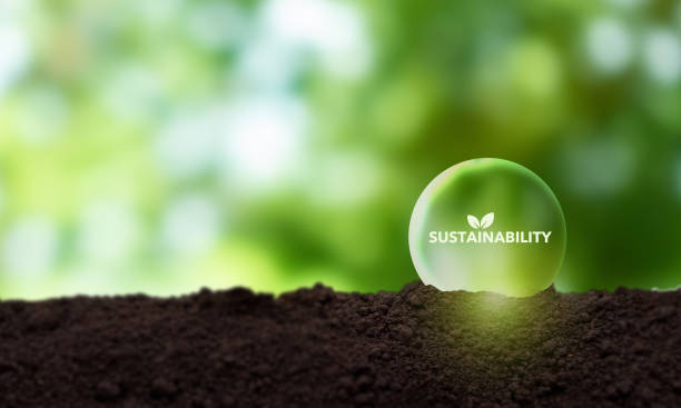 istock Sustainable business strategy concepy. Growing sustainability by doing business with positively impacting the environment, community and society. Challenges and drive business success. ESG. 1425394420