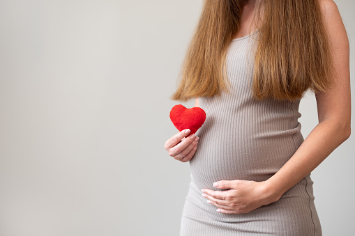 Cropped shot of pregnant woman wearing tight dress holding soft red heart on gray background. Pregnancy, love, healthcare and motherhood concept. Idea of cardiology problems or desease.Copy space.