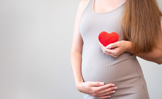 Cropped shot of pregnant woman wearing tight dress holding soft red heart on gray background. Pregnancy, love, healthcare and motherhood concept. Idea of cardiology problems or desease.Copy space.