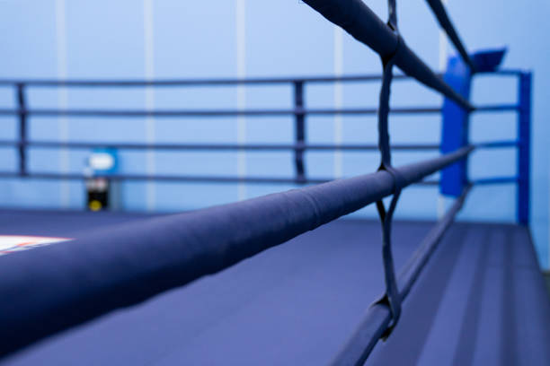 istock Big ropes of the ring. 1425423265