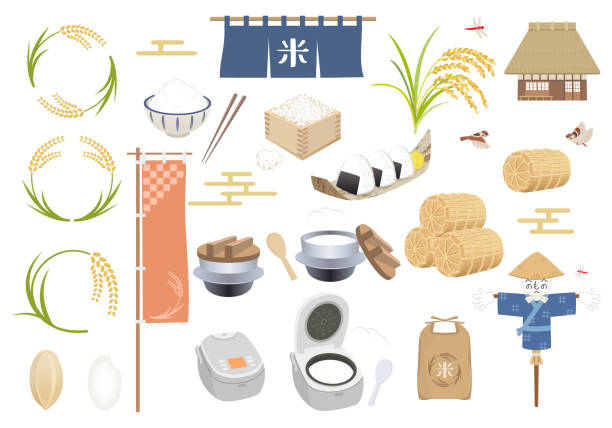 Illustration set of rice Illustration set of rice japanese food icon stock illustrations