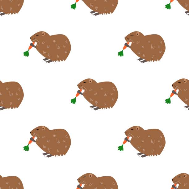 Children s seamless pattern with a nutria on white background. Children s seamless pattern with a nutria on a white background. Perfect for kids clothing, fabric, textiles, baby jewelry, wrapping paper. nutria rodent animal alphabet stock illustrations